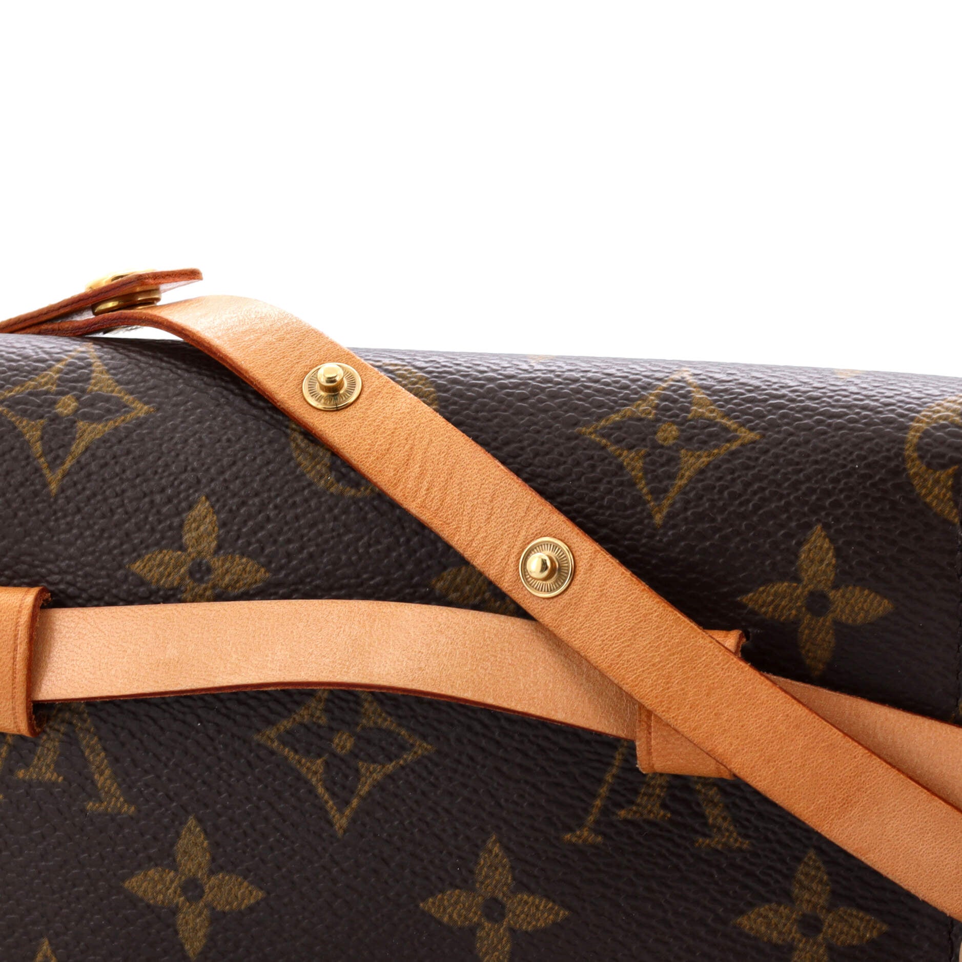Louis Vuitton Florentine Waist Bag Monogram Canvas