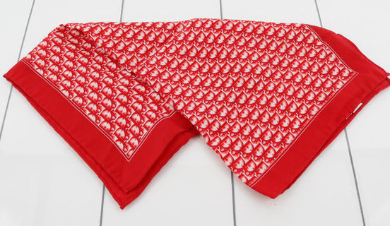 Christian Dior Trotter (accessories) and scarves