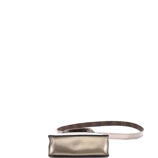 Louis Vuitton Petit Sac Plat Bag Monogram Vernis with Monogram Canvas