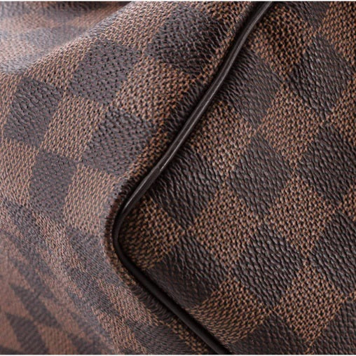 Louis Vuitton Speedy Handbag Damier 25