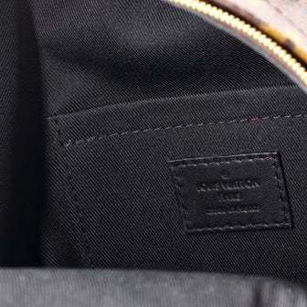 Louis Vuitton Palm Springs Backpack Monogram Canvas Mini