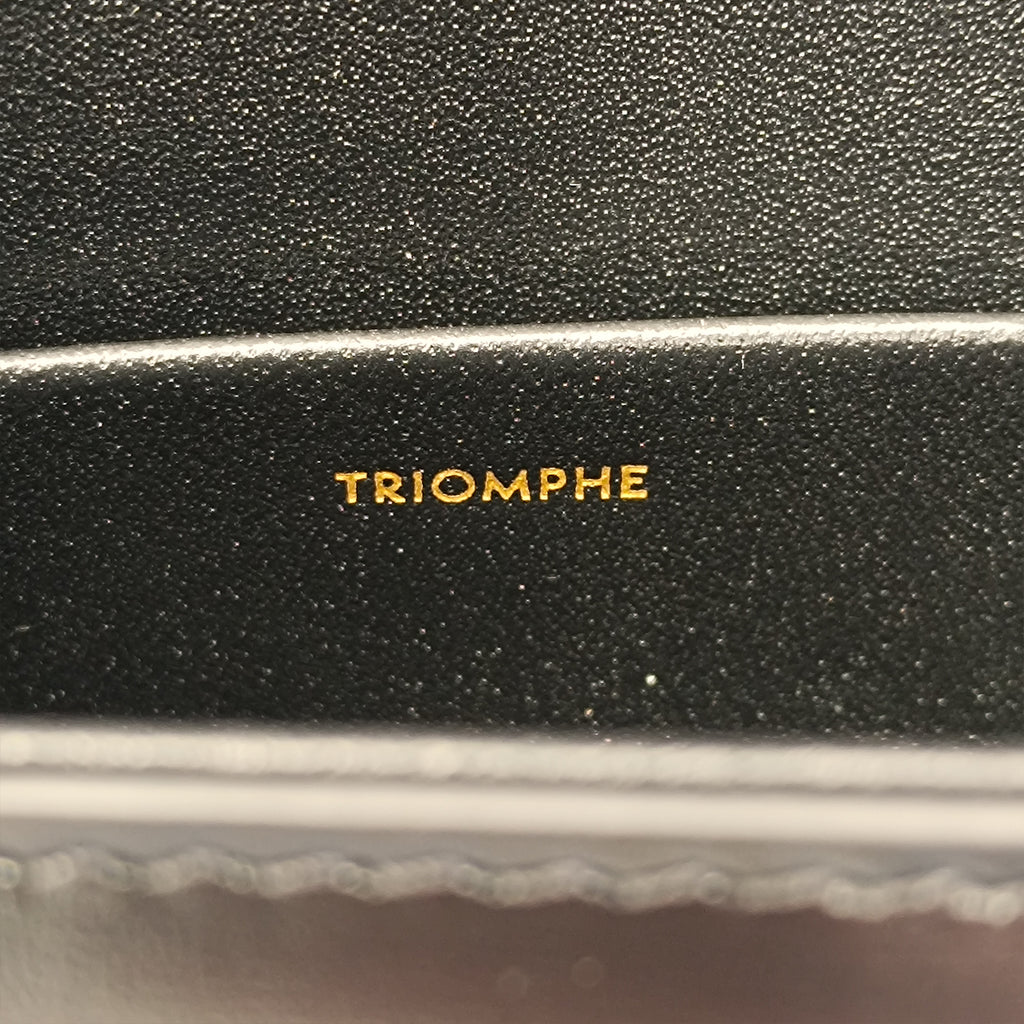 Celine Triomphe Leather Claude Shoulder Bag