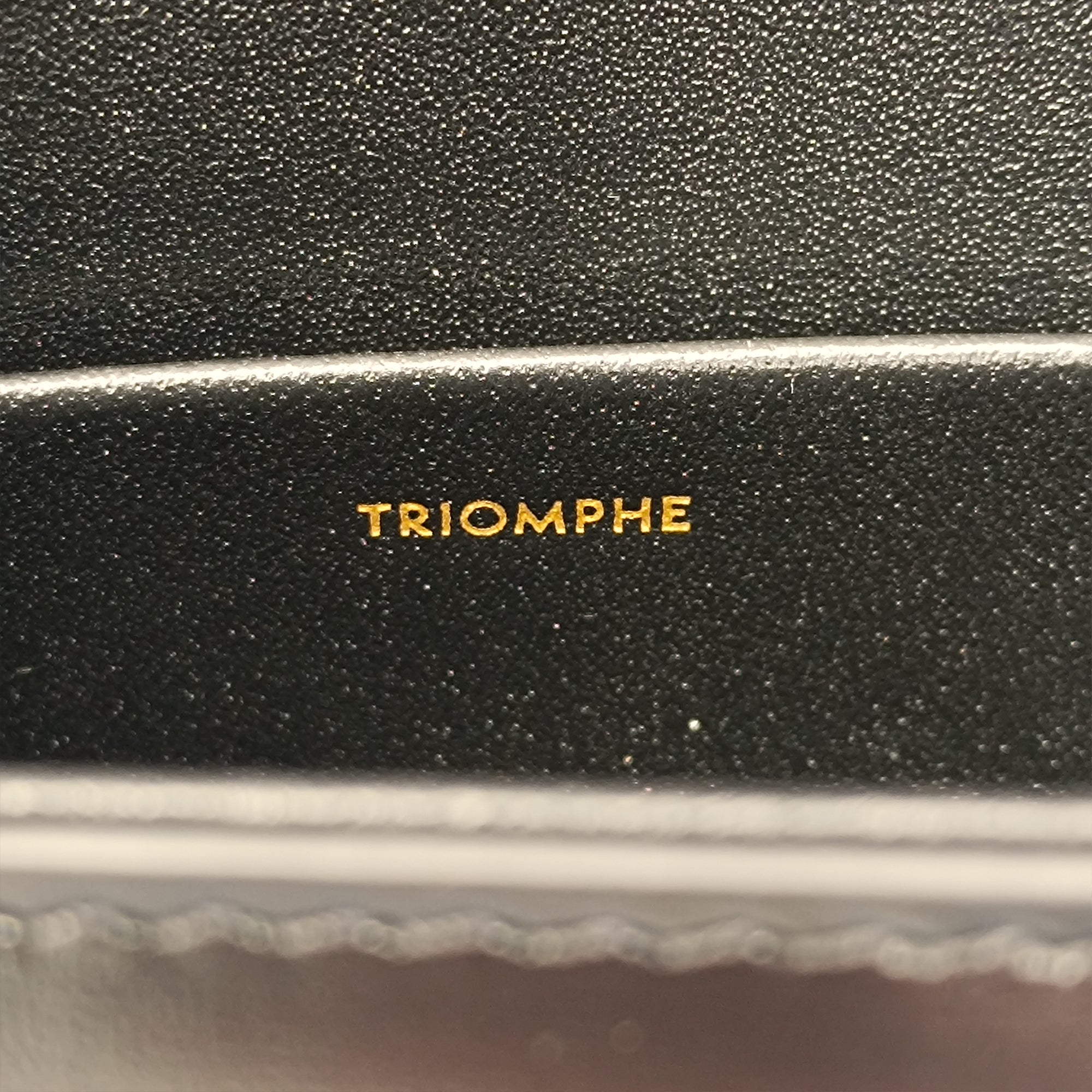 Celine Triomphe Leather Claude Shoulder Bag